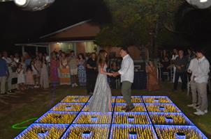Plantas: imagem 3 de 15